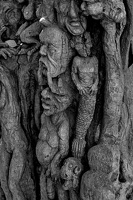 woodwork.2025.13 dt bw