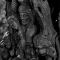 woodwork.2025.14 dt bw