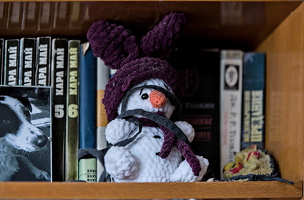 tamron SP 70-200 mm f:2.8 USD Di 2025.02 dt