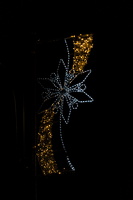 christmas 2025.01 dt