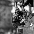 st. George and the dragon 2025.06 dt bw