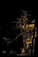 christmas 2025.06 dt