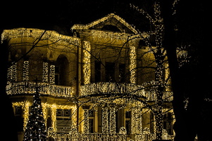 christmas 2025.11 dt