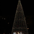 christmas 2025.24 dt