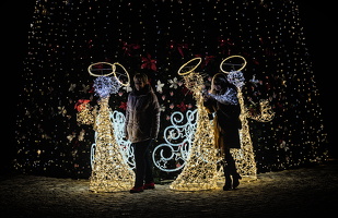 christmas 2025.26 dt