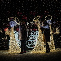 christmas 2025.26 dt