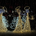 christmas 2025.27 dt