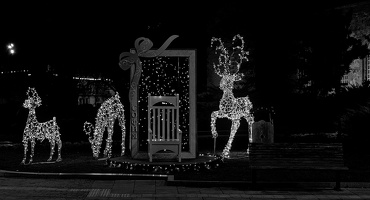 christmas 2025.28 dt bw