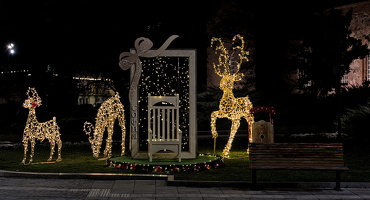 christmas 2025.28 dt