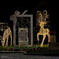 christmas 2025.28 dt