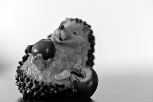 hedgehog with apples 2025.02 dt bw