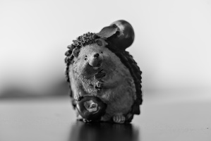 hedgehog with apples 2025.03 dt bw