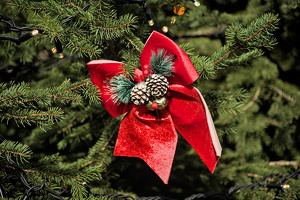 christmas 2025.02 dt