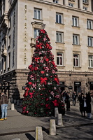 christmas 2025.03 dt