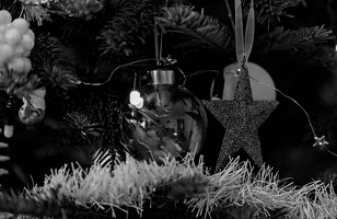 christmas toys 2025.24 dt bw