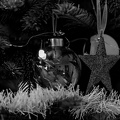 christmas toys 2025.24 dt bw