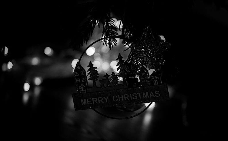 christmas toys 2025.28_dt_bw.jpg