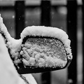 winter 2025.02 dt bw