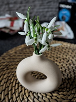 galanthus 2026.01 dt