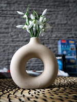 galanthus 2026.02 dt