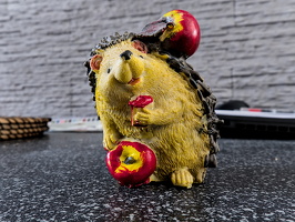 hedgehog with apples 2025.06 dt