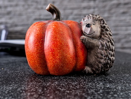 hedgehog with pumpkin 2026.01 dt