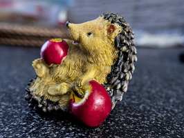 hedgehog with apples 2026.05 dt