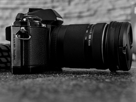 olympus OM-D E-M10 2026.02 dt bw