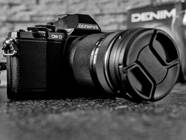 olympus OM-D E-M10 2026.03 dt bw