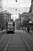 graf ignatiew 2026.01 dt bw