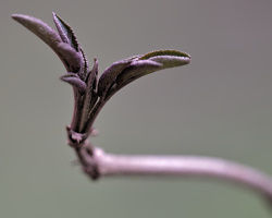 macro 2026.01 dt (2)