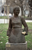 Trekljano Lady 2026.01 dt