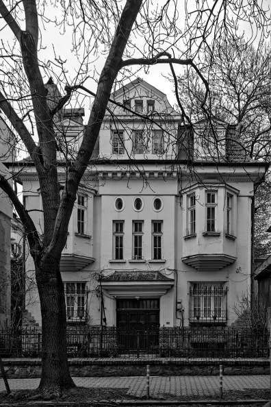gogol 2026.02_dt_bw.jpg