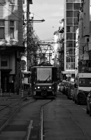 Wesletz 2026.01 dt bw