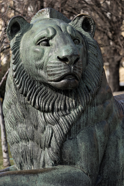 lion 2026.01_dt.jpg