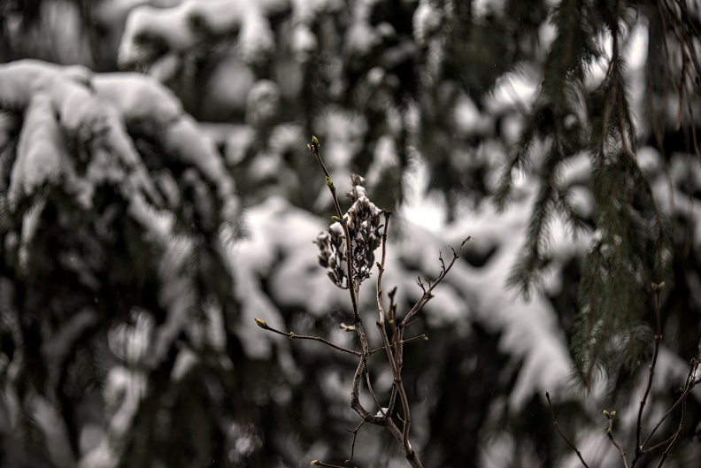 winter 2026.02.dt.jpg