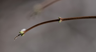 macro 2026.04 dt (1)