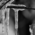macro 2026.05 dt bw