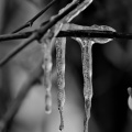 macro 2026.07 dt bw