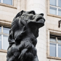 lion 2026.05 dt