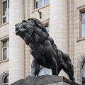 lion 2026.03 dt