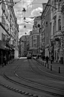 graf ignatiew 2026.03 dt bw