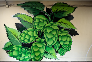 prošhek brothers underpass 2026.11 dt