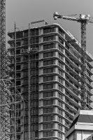 golden age 2026.01 dt bw