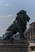 lion\'s bridge northwest 2026.02 dt