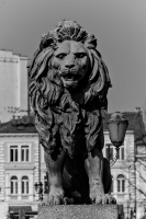 lion\'s bridge southeast 2026.01 dt bw