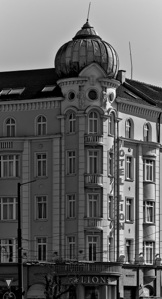 lion\'s bridge 2026.03_dt_bw.jpg