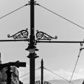 lion\'s bridge 2026.04 dt bw
