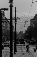 lion\'s bridge 2026.05 dt bw