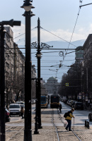 lion\'s bridge 2026.05 dt